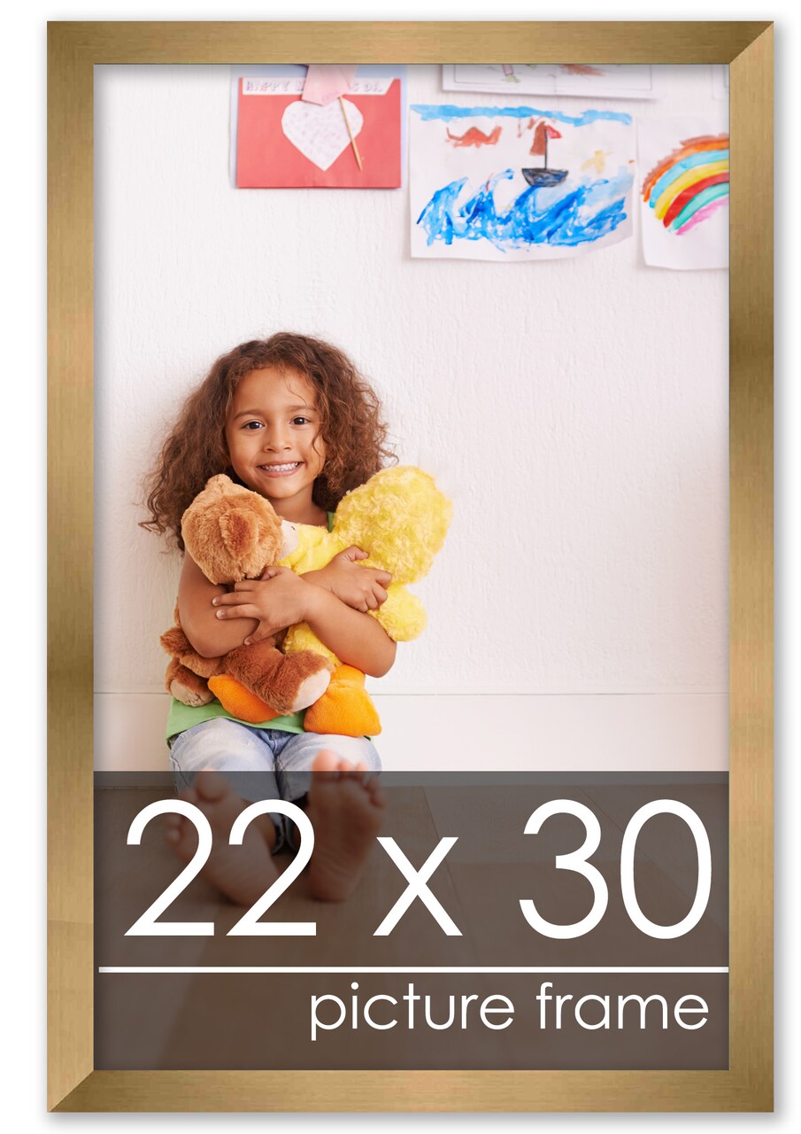 22x30 Solid Wood Picture Frame with UV-Resistant Acrylic & Acid-Free Backing, Available in 6 Finishes: Matte Black, Matte White, Metallic Bronze, Silver, Natural Wood Grain & Mahogany